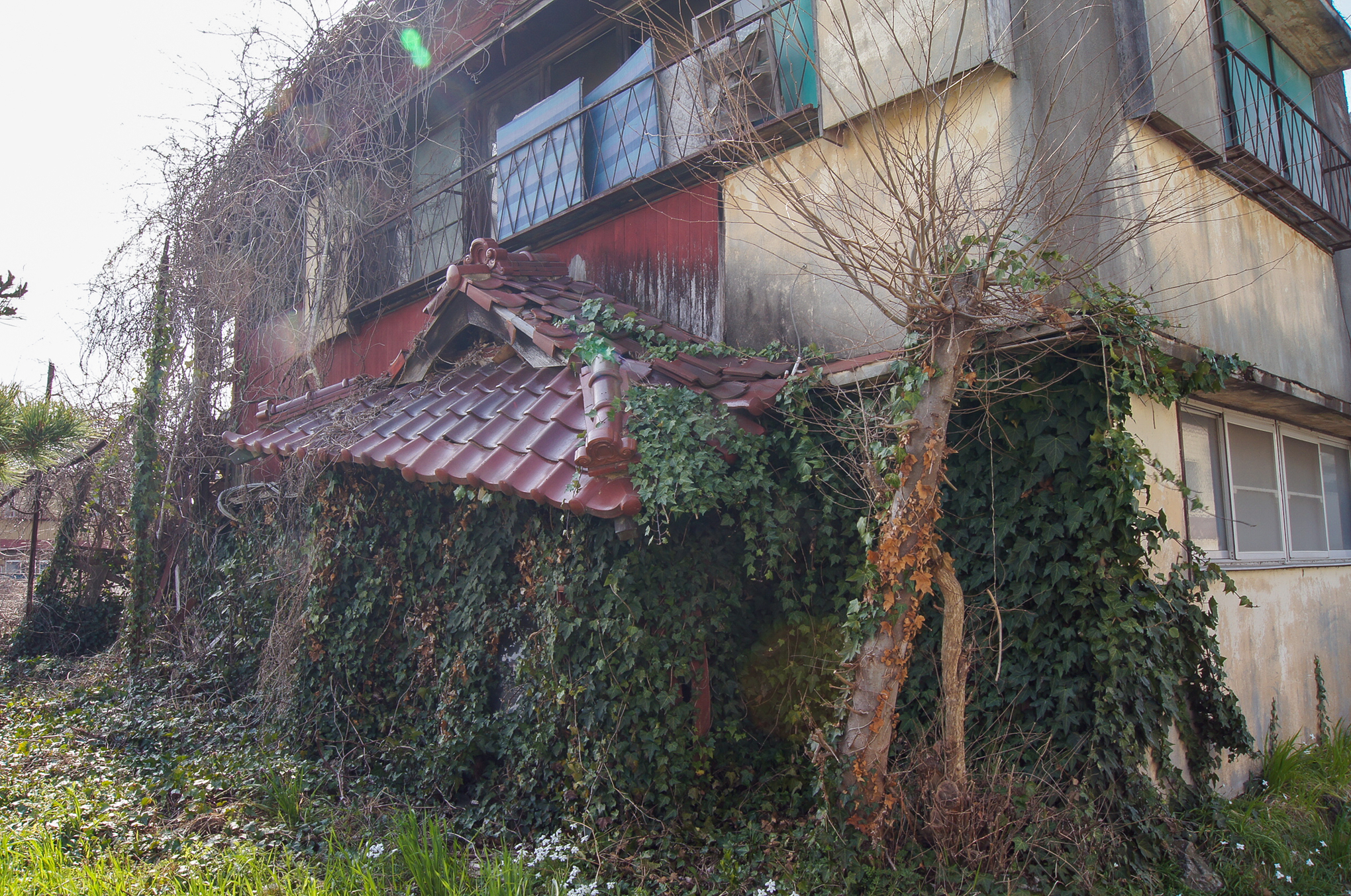 f:id:akichiniiko:20200914122103j:plain