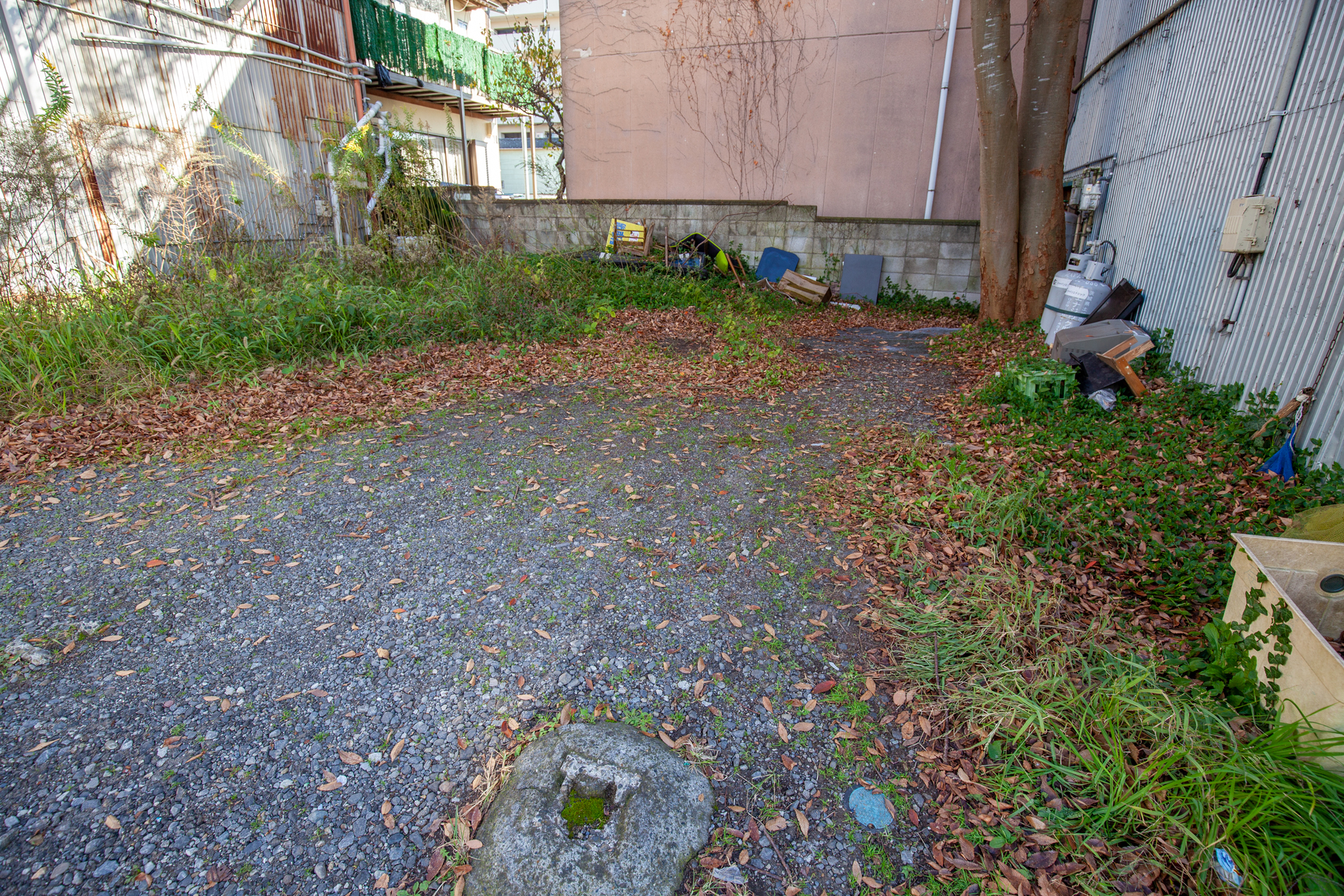 f:id:akichiniiko:20201204204044j:plain