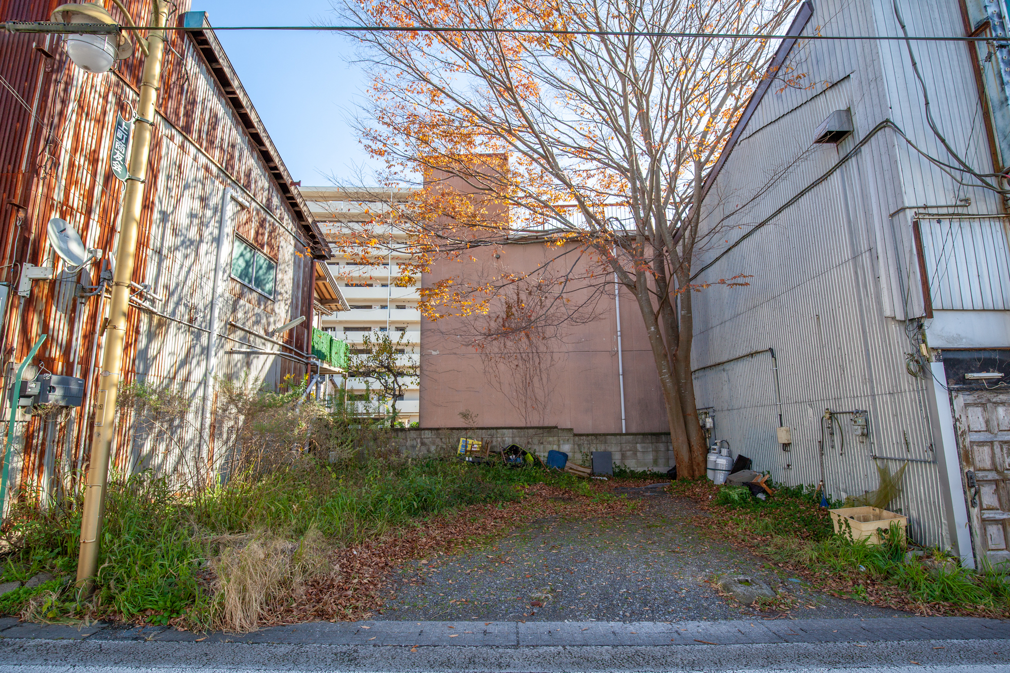 f:id:akichiniiko:20201205170150j:plain