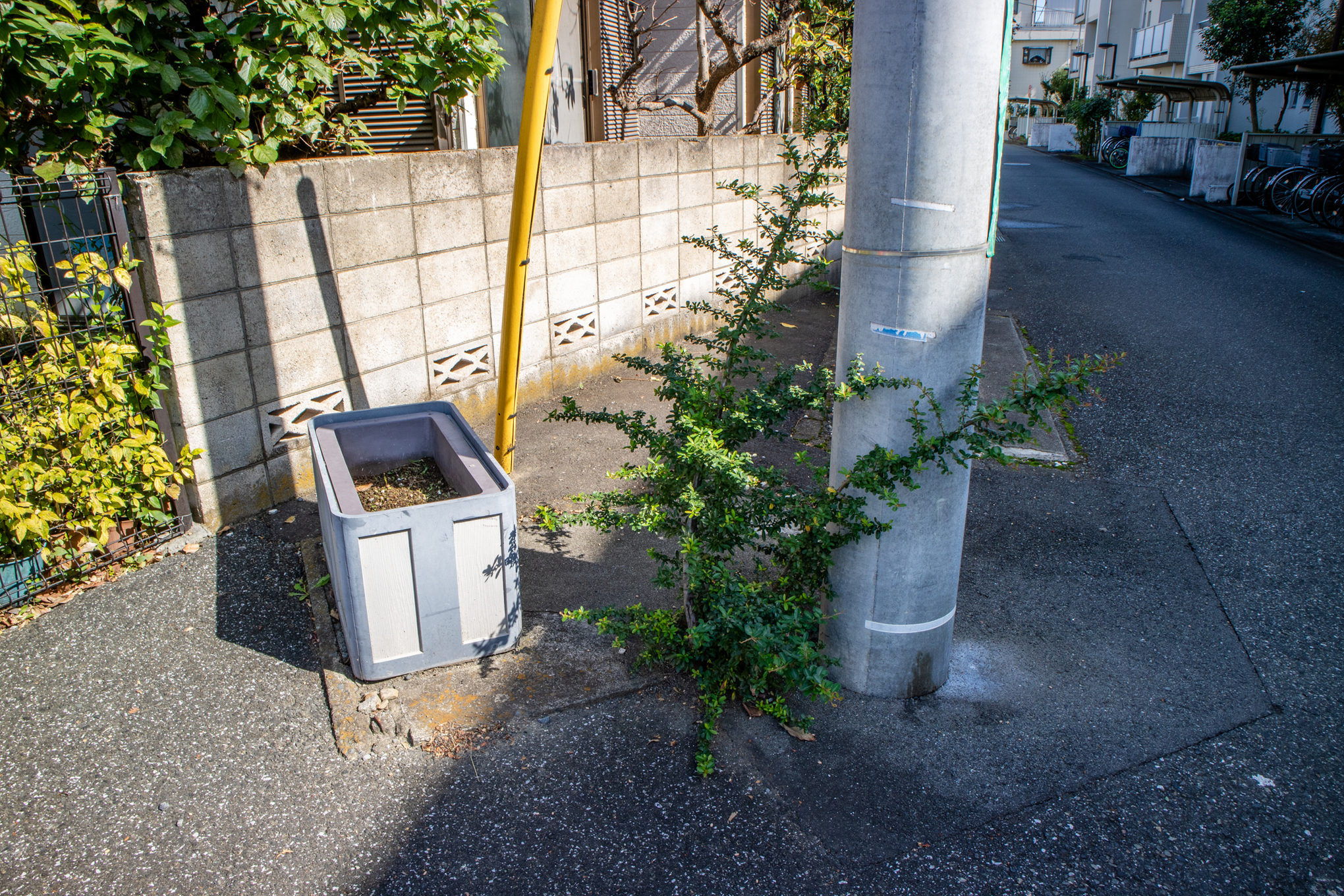 f:id:akichiniiko:20211012204756j:plain