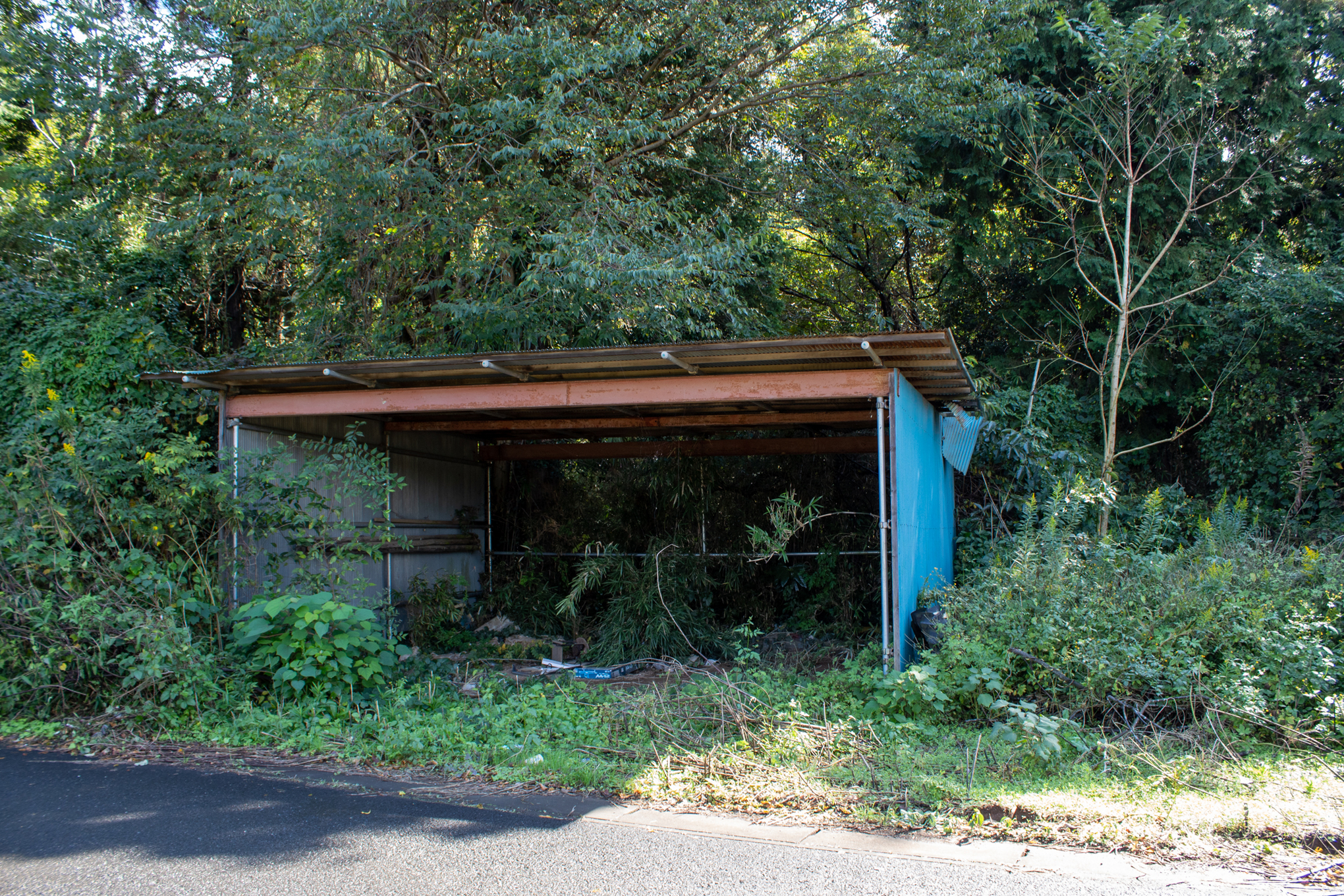 f:id:akichiniiko:20211012210753j:plain