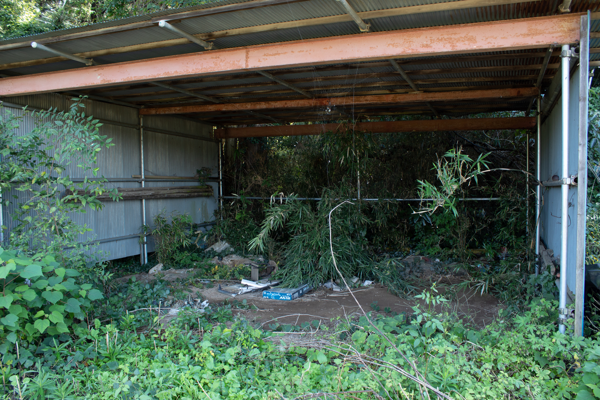 f:id:akichiniiko:20211012210806j:plain