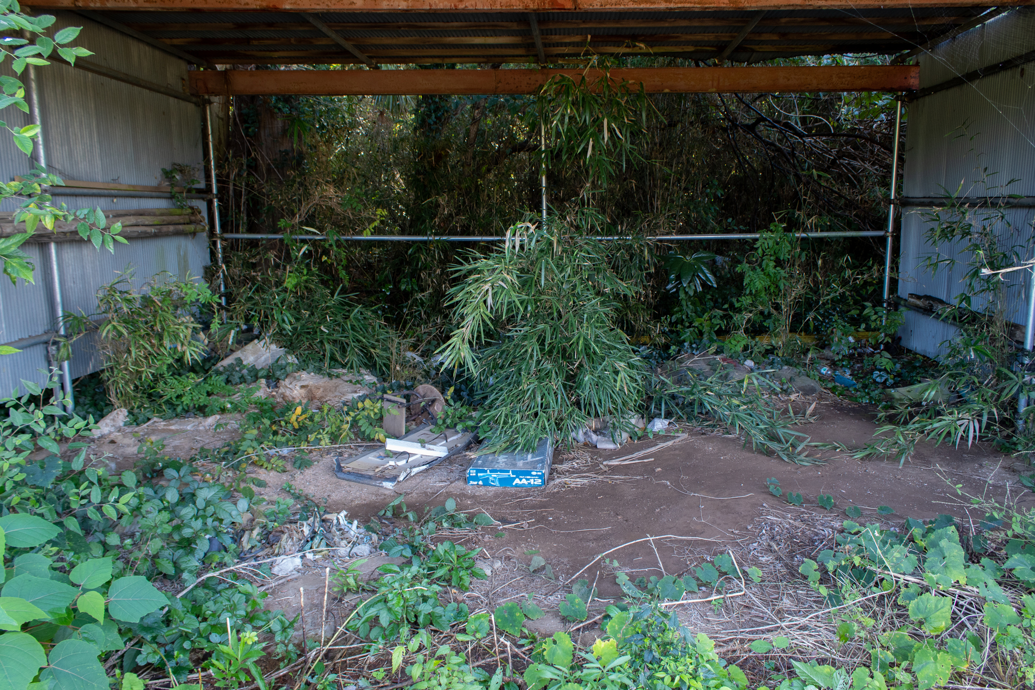 f:id:akichiniiko:20211012210825j:plain