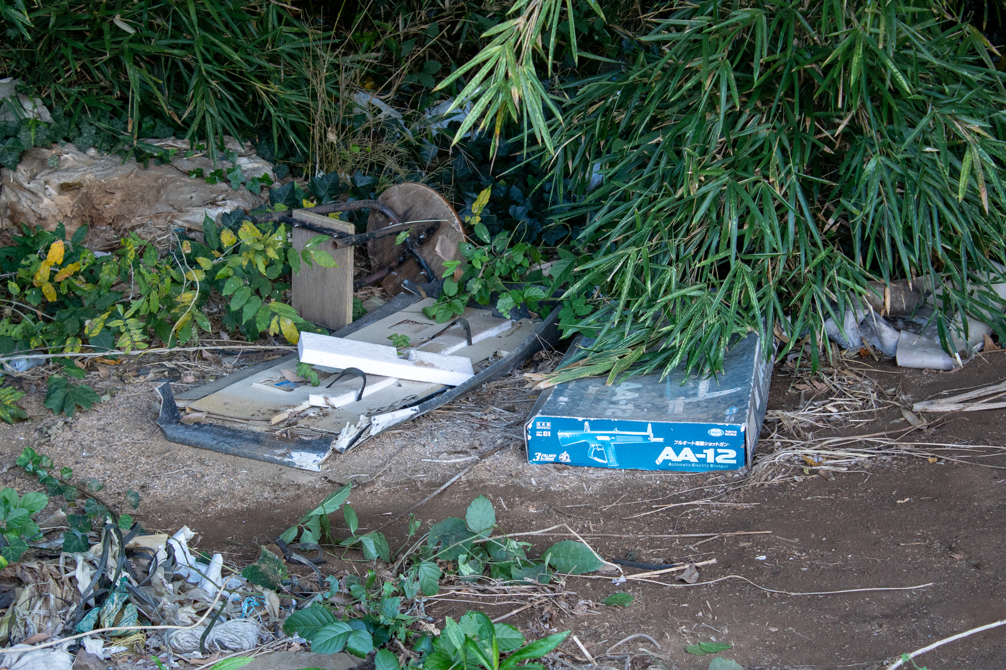 f:id:akichiniiko:20211012210834j:plain