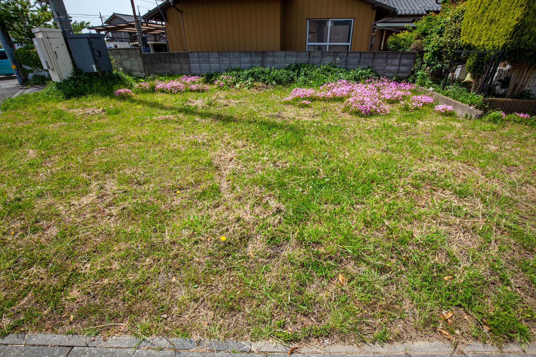 f:id:akichiniiko:20211103215856j:plain