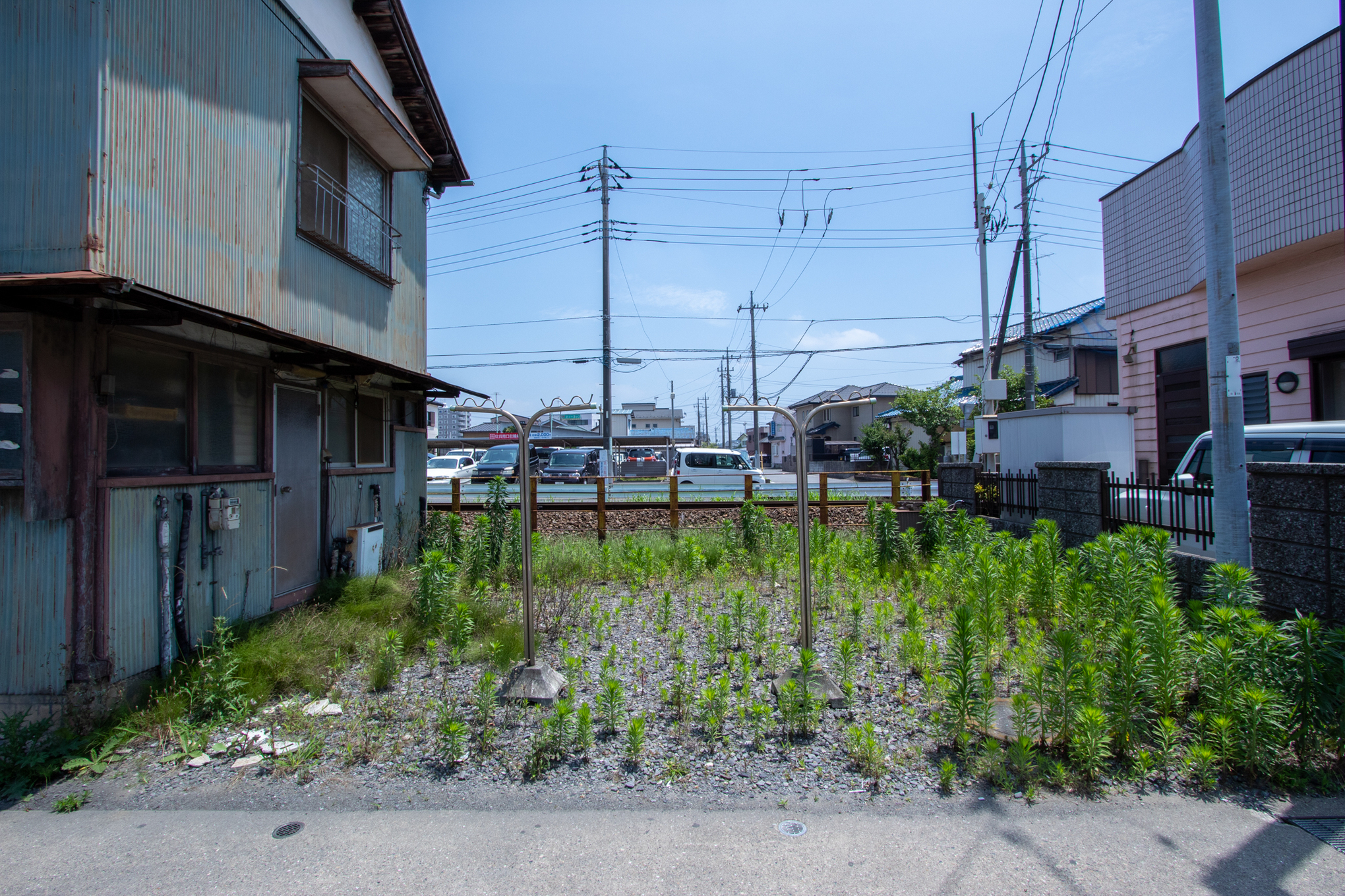 f:id:akichiniiko:20220327213623j:plain