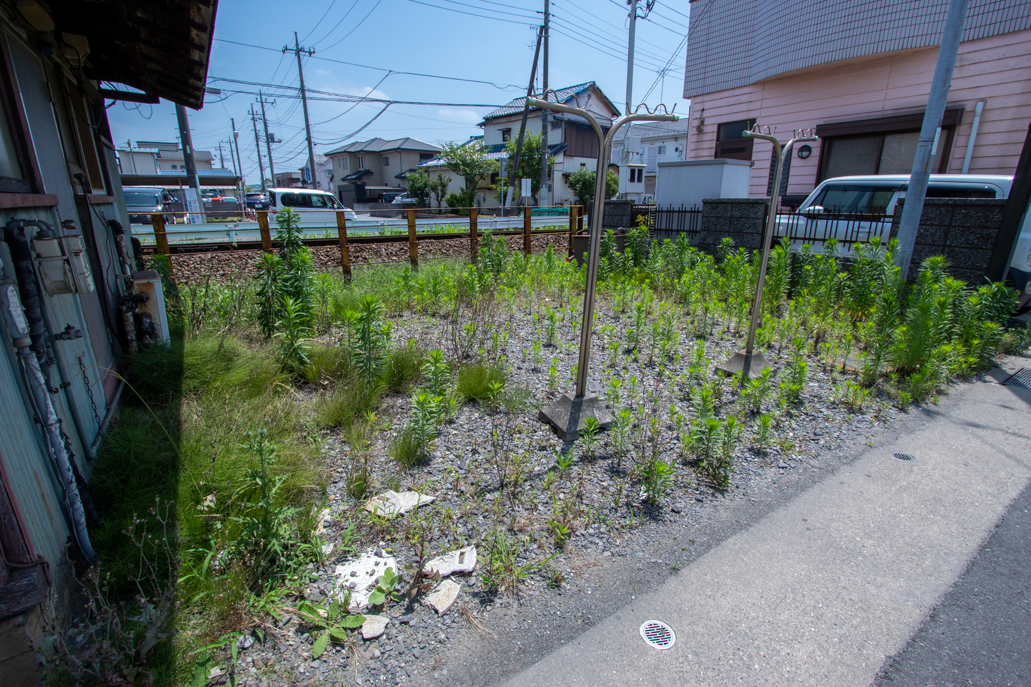 f:id:akichiniiko:20220327213731j:plain