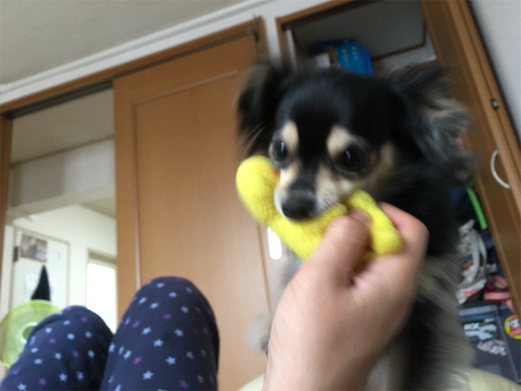 f:id:akie1000:20160612214306j:image