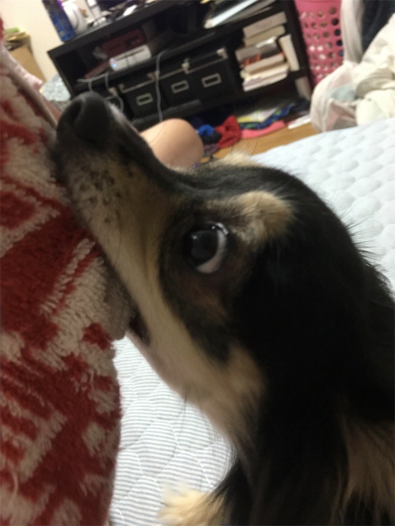 f:id:akie1000:20160625025829j:image