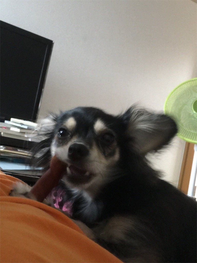 f:id:akie1000:20160629014534j:image