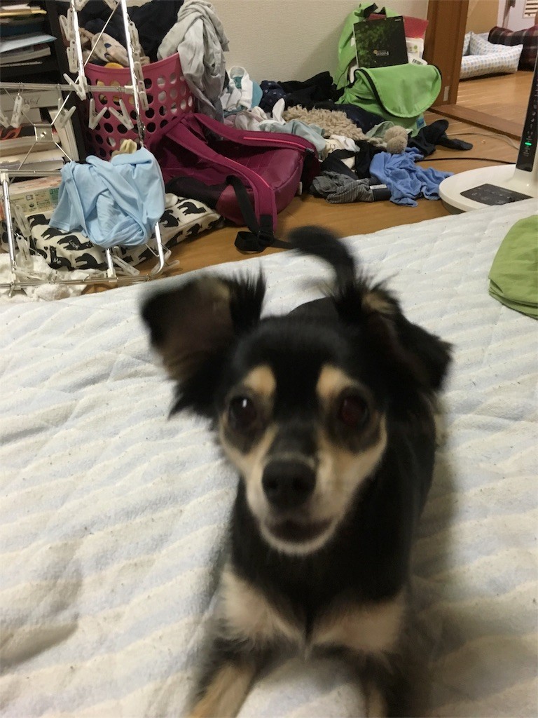 f:id:akie1000:20160806012251j:image
