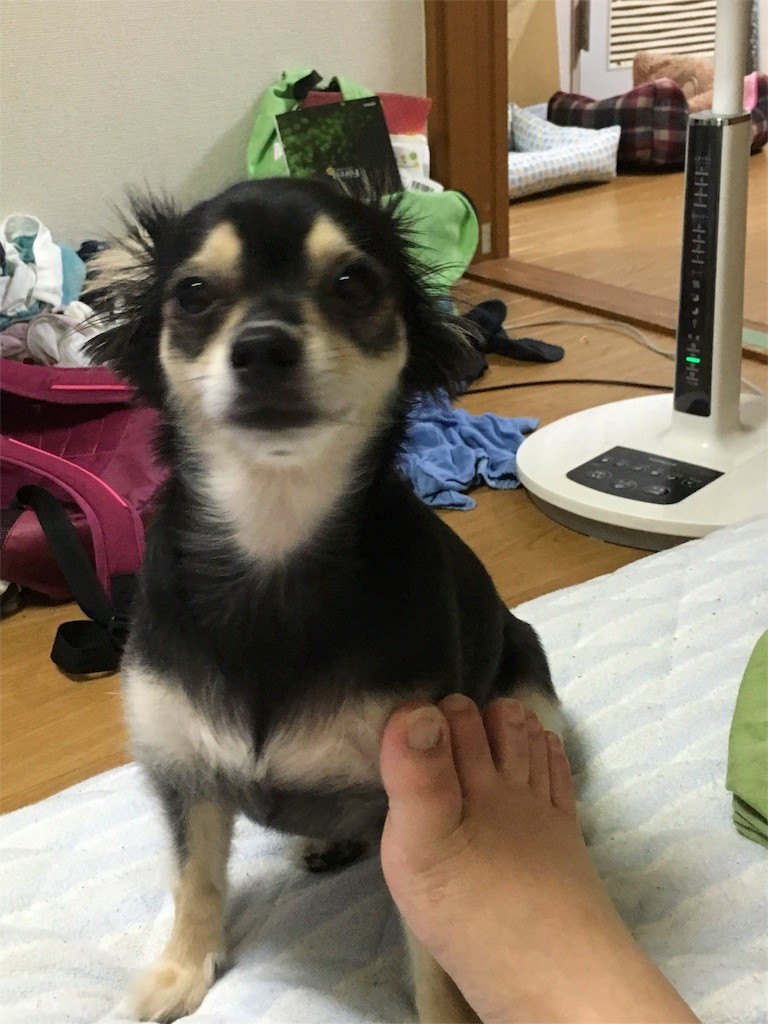 f:id:akie1000:20160806012511j:image