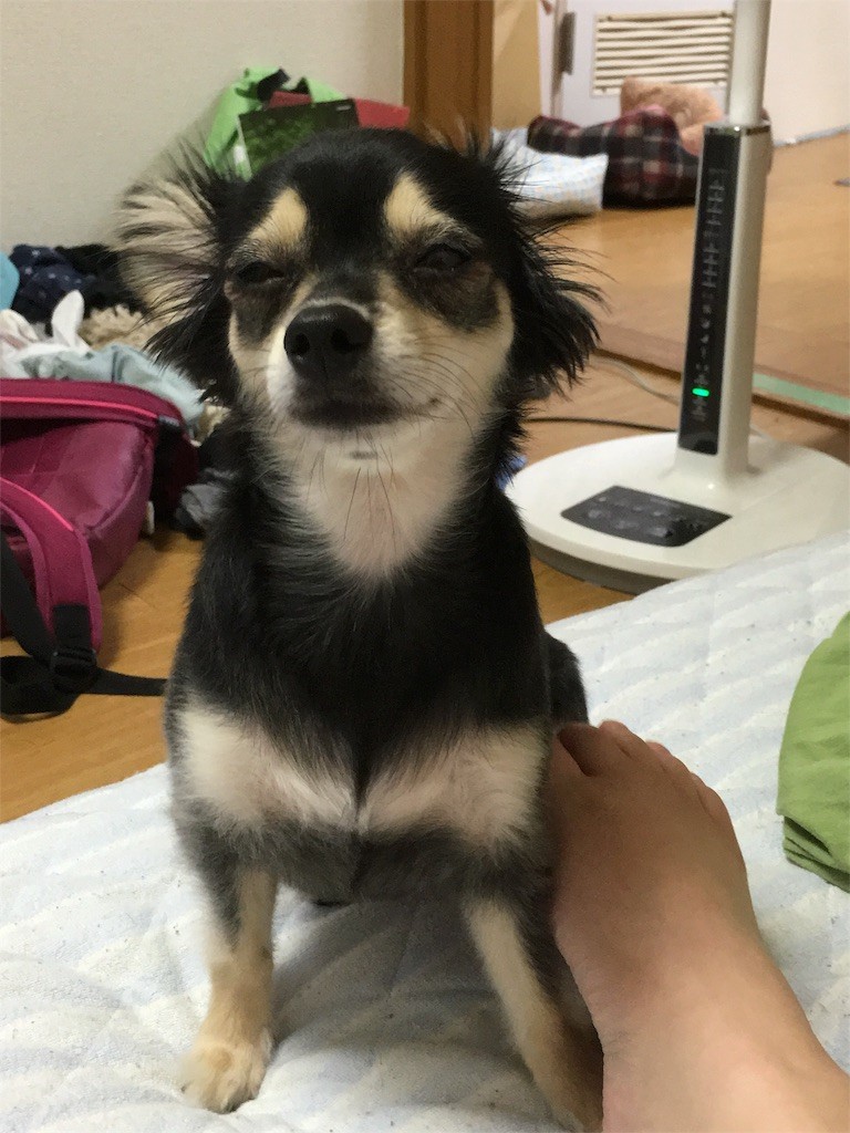 f:id:akie1000:20160806012529j:image