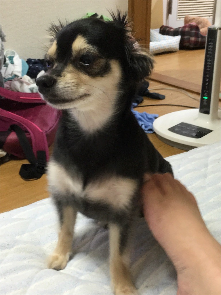 f:id:akie1000:20160806012535j:image