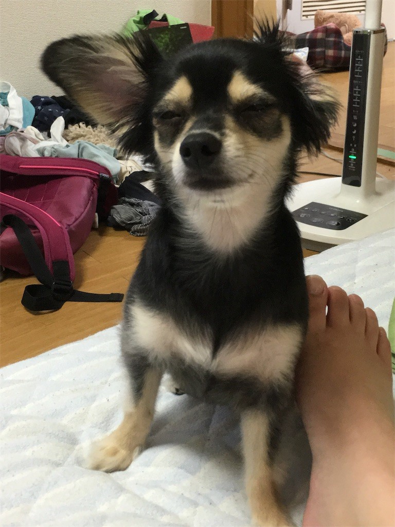 f:id:akie1000:20160806012547j:image