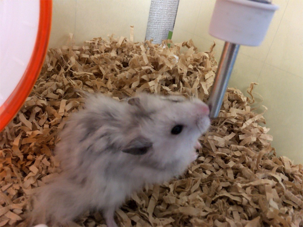 f:id:akie1000:20160817212937j:image