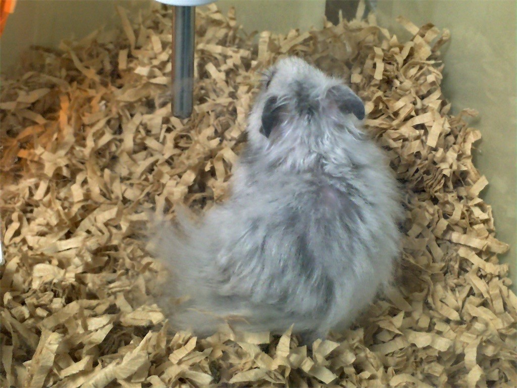 f:id:akie1000:20160819001942j:image