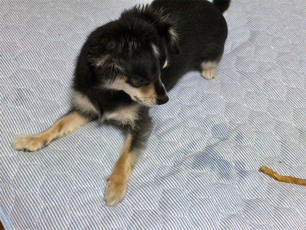 f:id:akie1000:20160820000452j:image