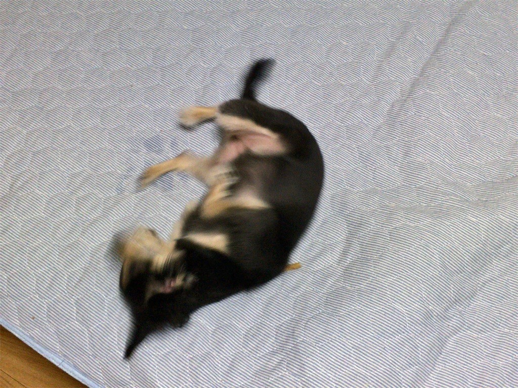 f:id:akie1000:20160820000536j:image