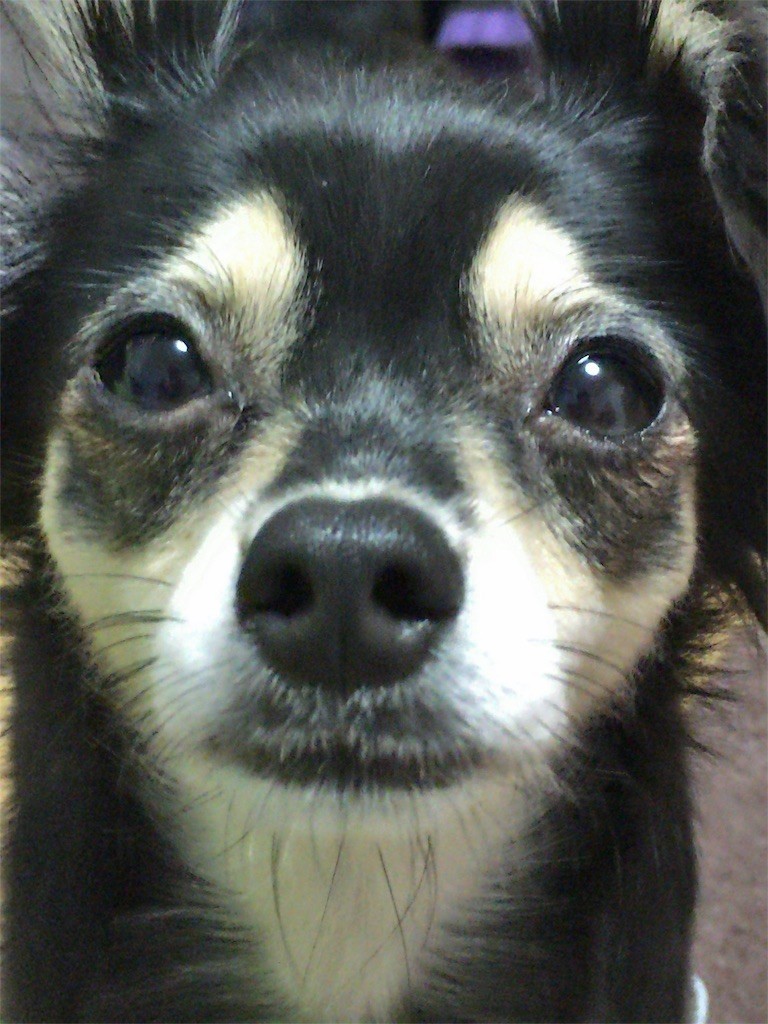 f:id:akie1000:20160823231943j:image