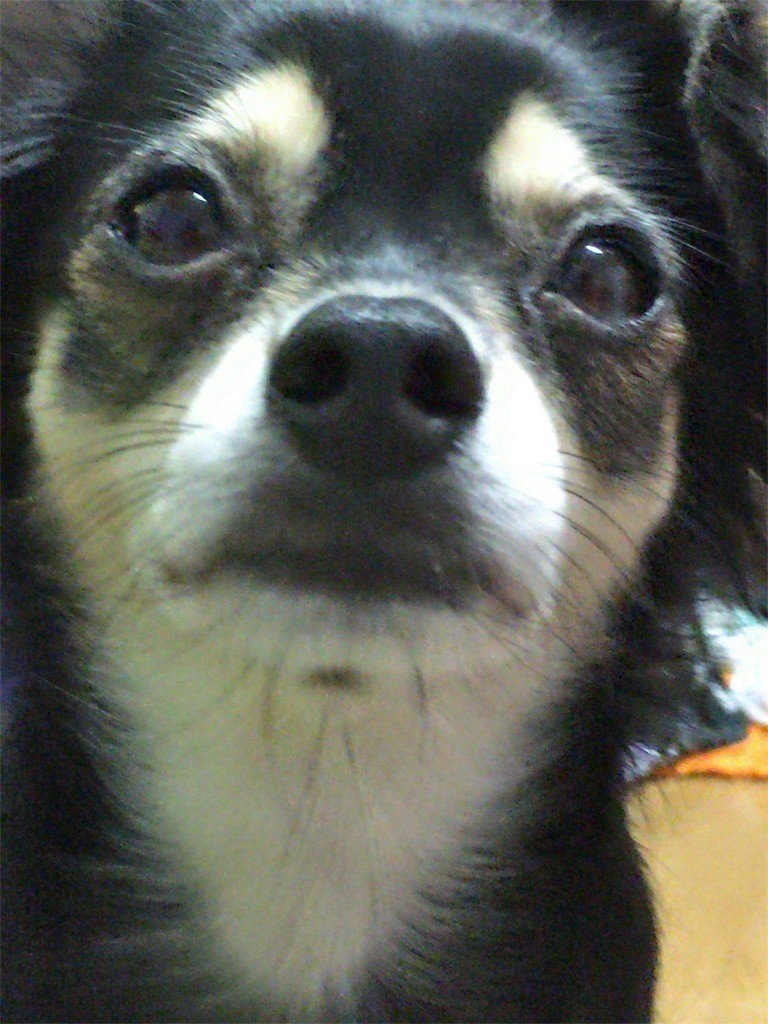 f:id:akie1000:20160823231954j:image
