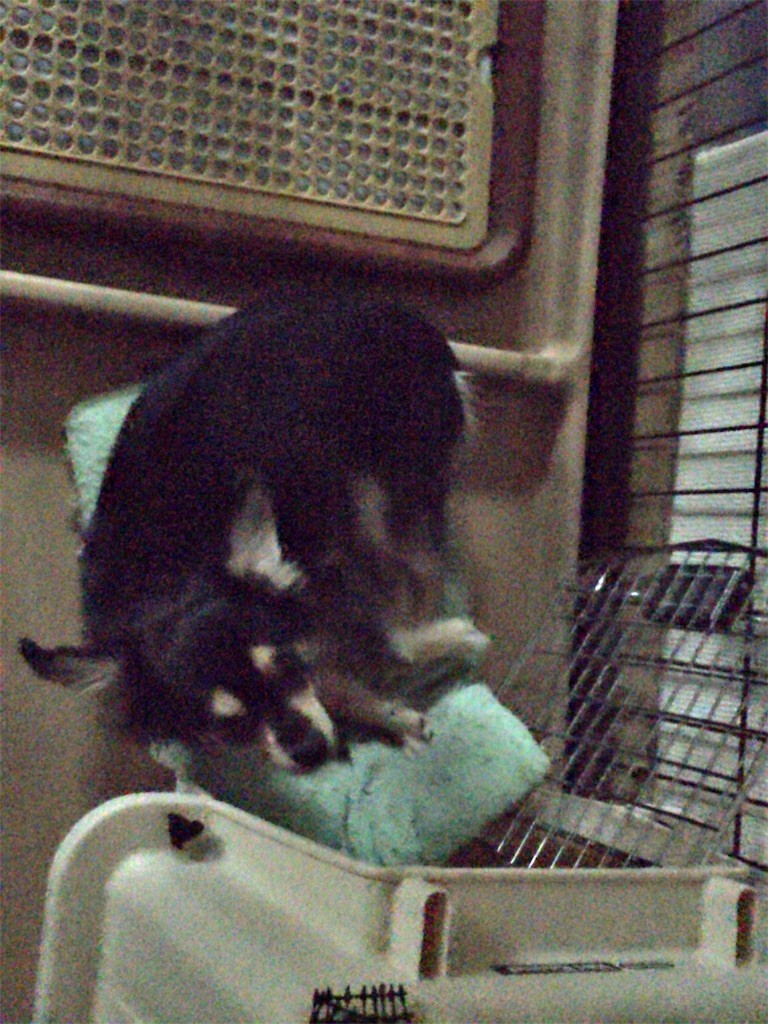 f:id:akie1000:20160825014704j:image