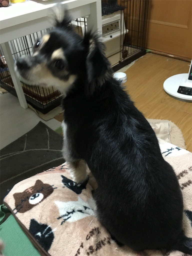 f:id:akie1000:20160830235921j:image
