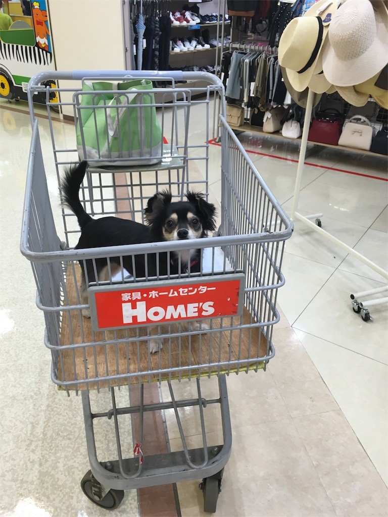 f:id:akie1000:20160902211300j:image f:id:akie1000:20160902211300j:image