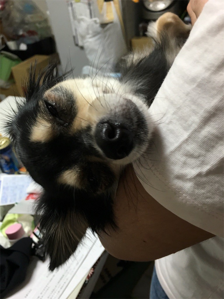 f:id:akie1000:20160904225039j:image