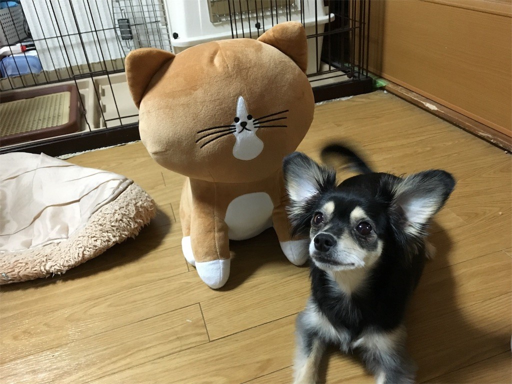 f:id:akie1000:20160904230245j:image