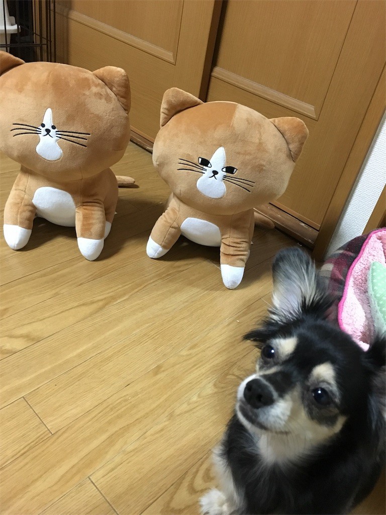 f:id:akie1000:20160904230354j:image