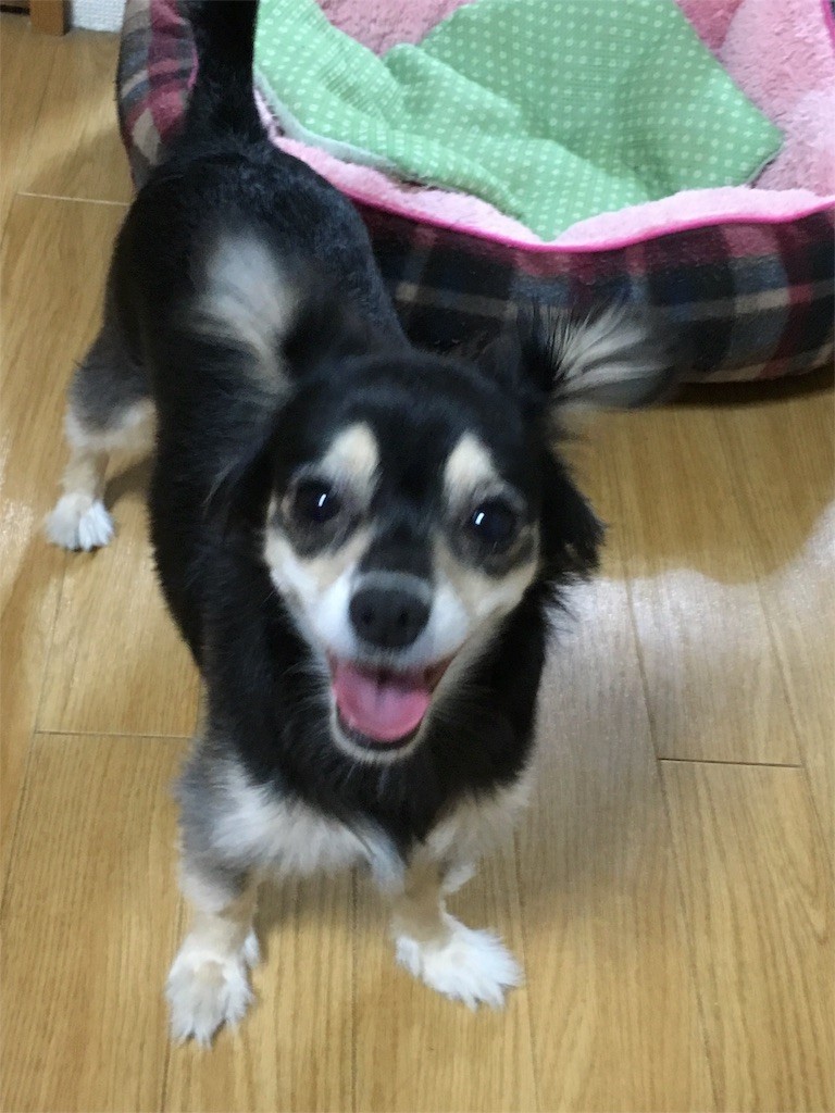 f:id:akie1000:20160904230436j:image