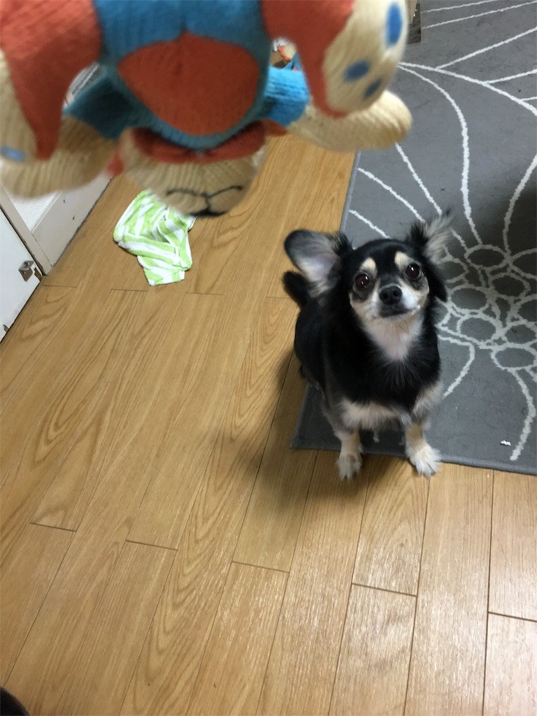 f:id:akie1000:20160906002501j:image