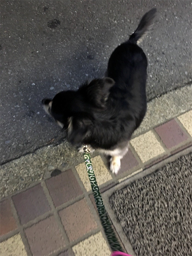 f:id:akie1000:20160907212414j:image