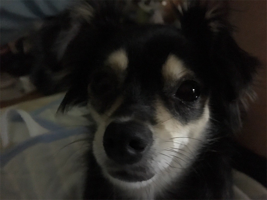 f:id:akie1000:20160907213505j:image