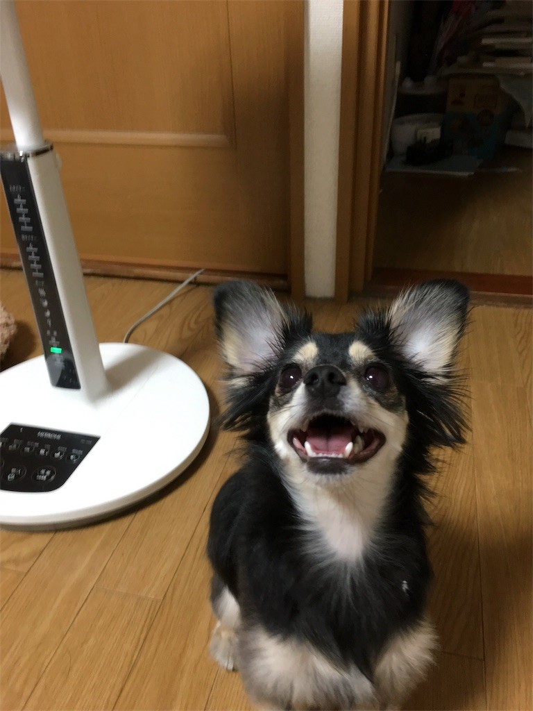 f:id:akie1000:20160917193242j:image