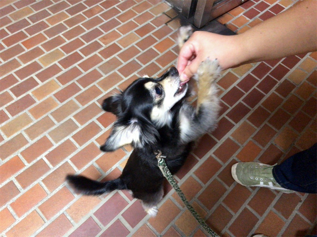 f:id:akie1000:20160917194435j:image