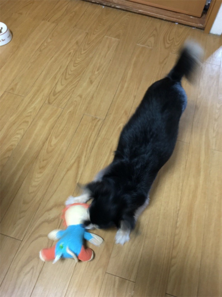 f:id:akie1000:20160921225529j:image