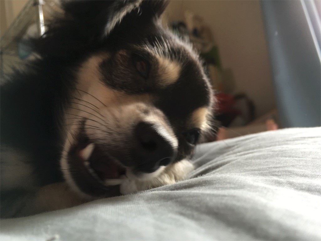 f:id:akie1000:20160925233504j:image