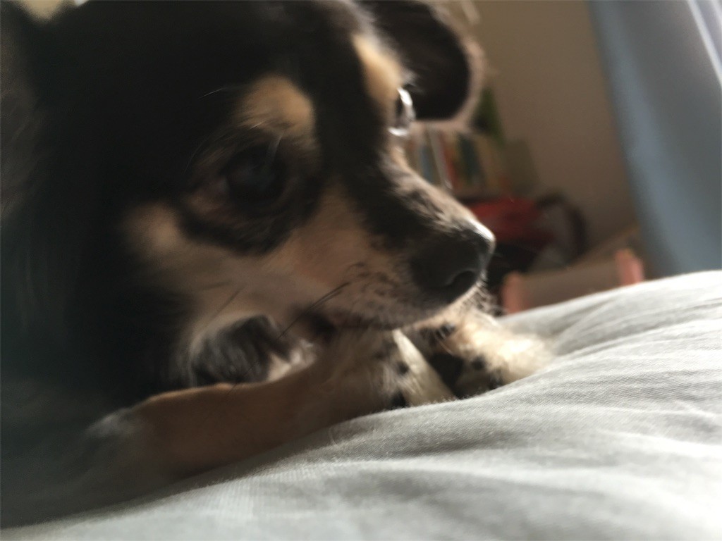 f:id:akie1000:20160925233525j:image