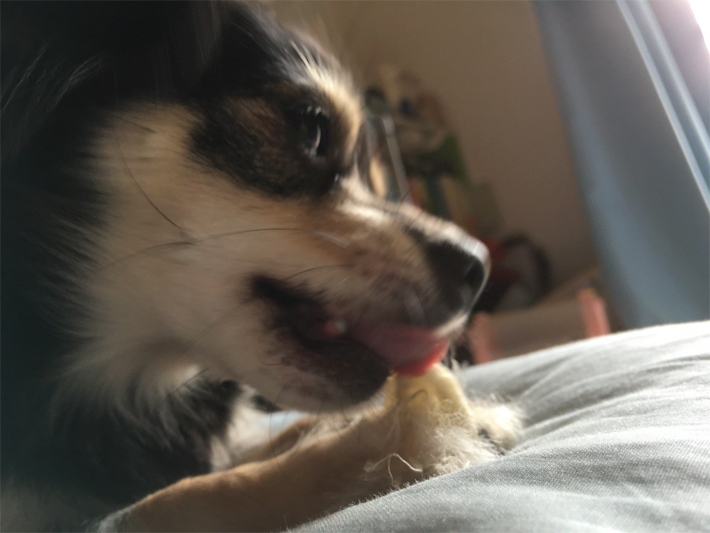 f:id:akie1000:20160925233613j:image