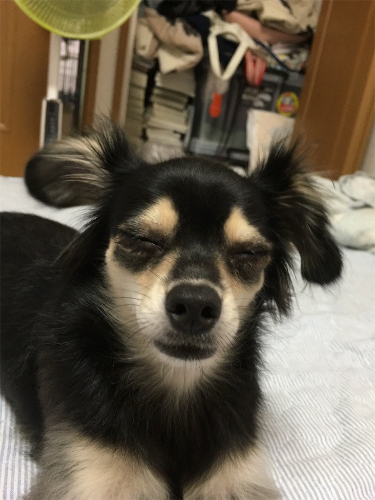 f:id:akie1000:20160926235807j:image