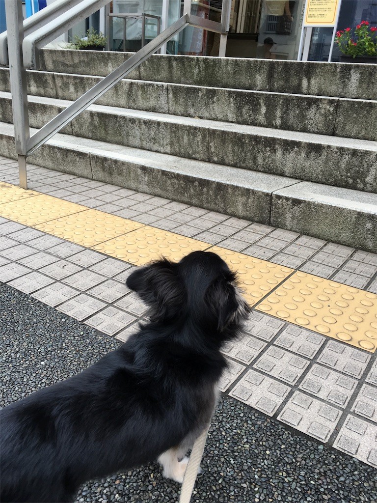 f:id:akie1000:20161002075210j:image