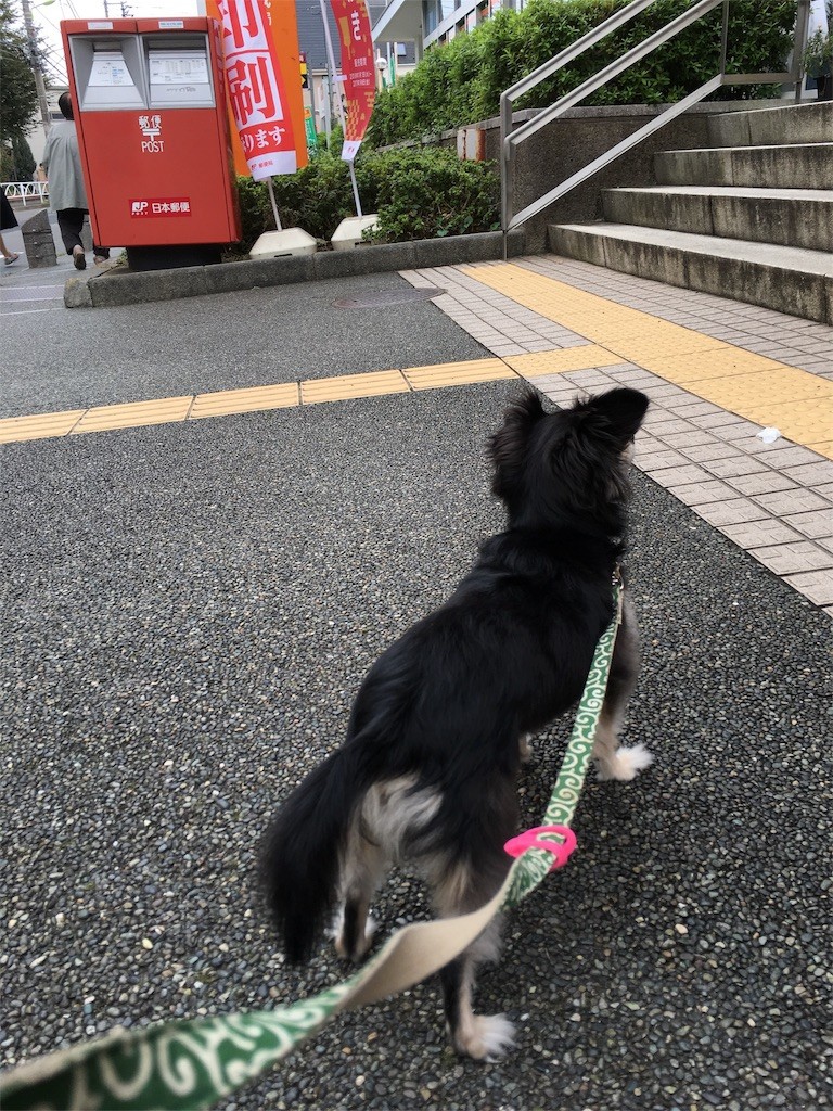 f:id:akie1000:20161002075231j:image
