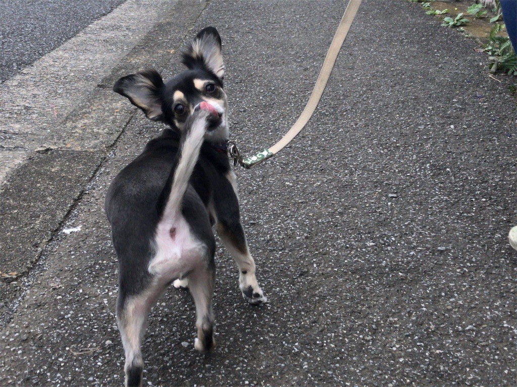 f:id:akie1000:20161011005220j:image