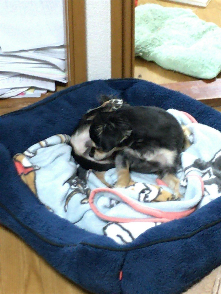 f:id:akie1000:20161021012931j:image
