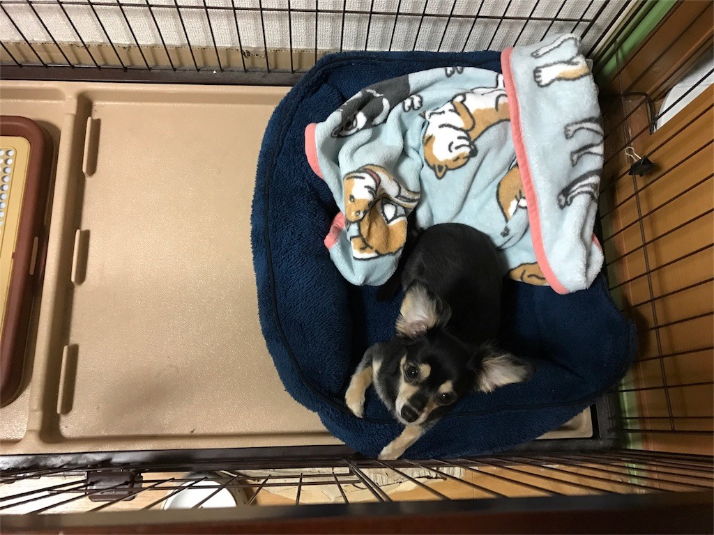 f:id:akie1000:20161027015104j:image