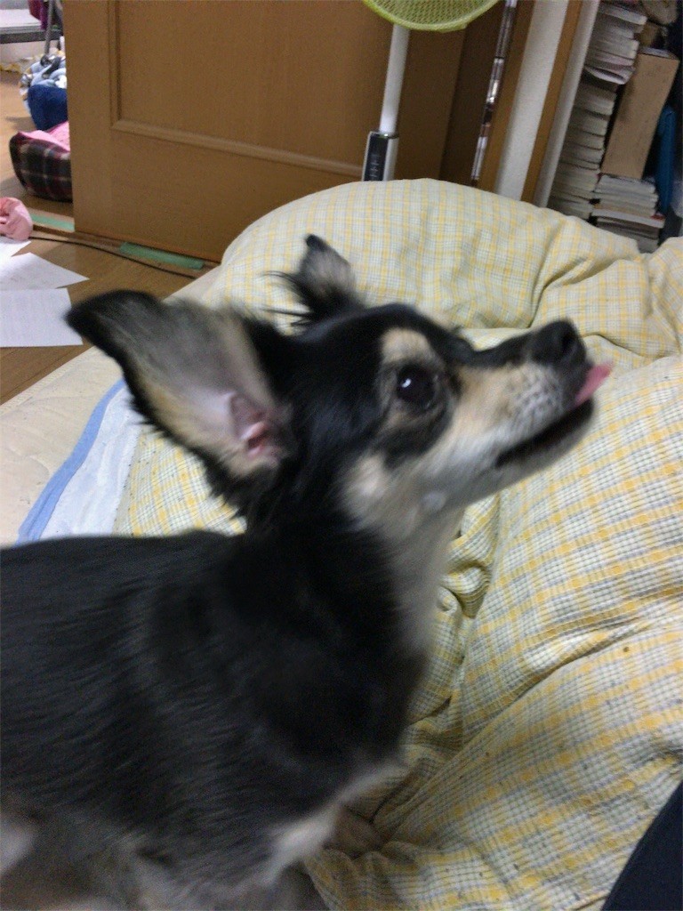 f:id:akie1000:20161030003337j:image