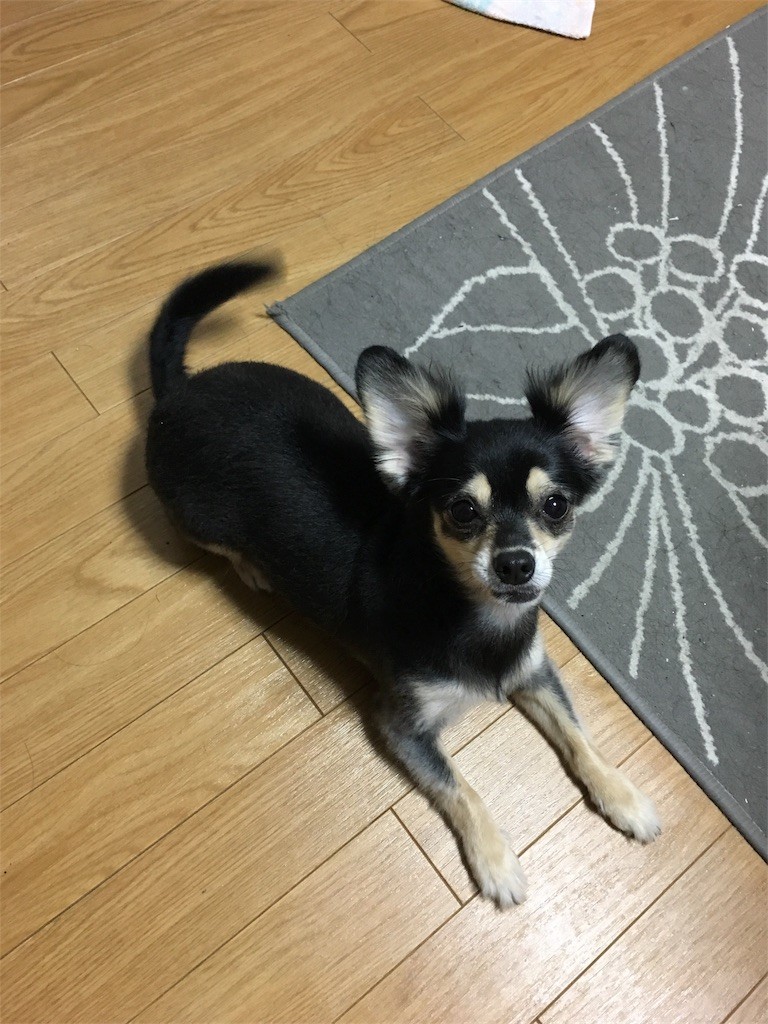 f:id:akie1000:20161103013649j:image