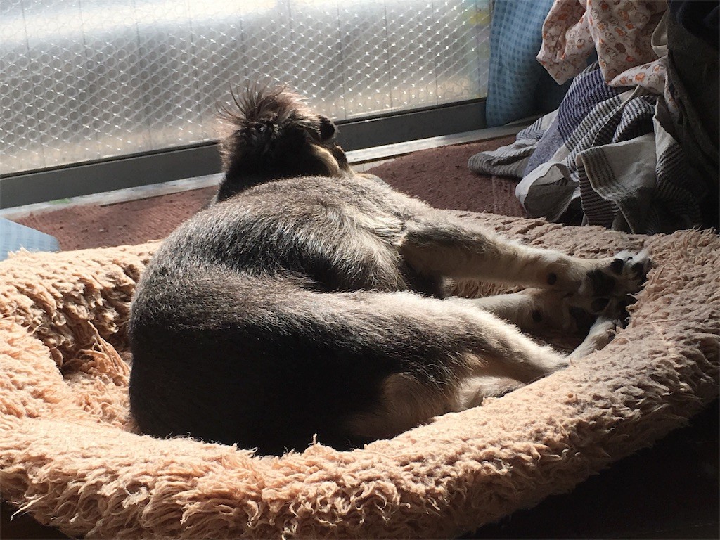 f:id:akie1000:20161107005246j:image